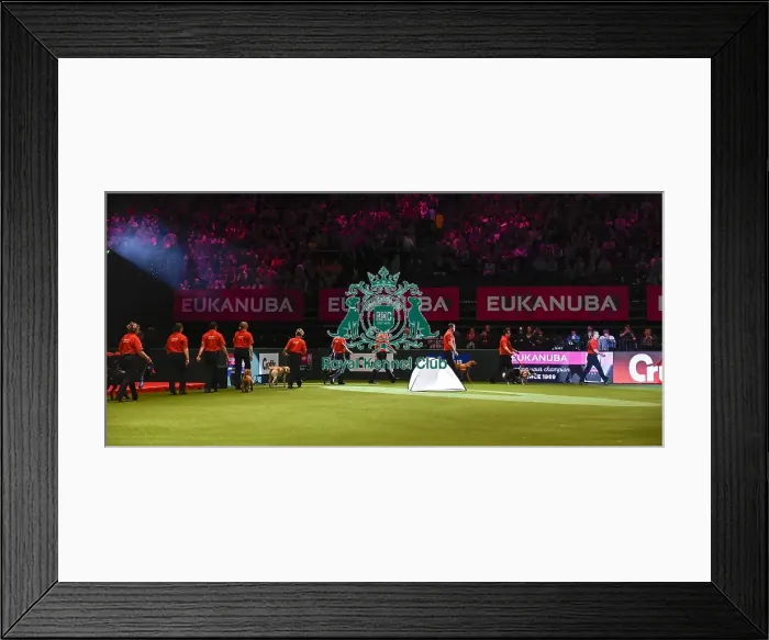Framed Print : Crufts 2019 - Day Three, NEC, UK - 9 Mar 2019 Framed Print : Crufts 2019 - Day Three, NEC, UK - 9 Mar 2019