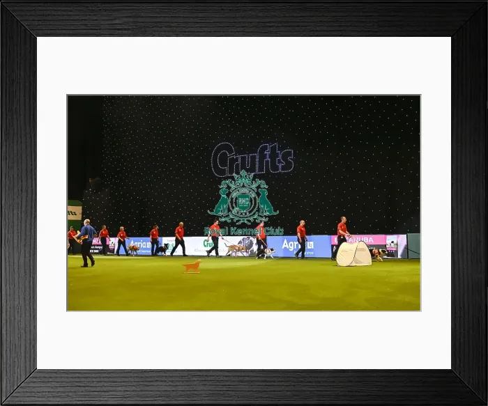 Framed Print : Crufts 2019 - Day Three, NEC, UK - 9 Mar 2019 Framed Print : Crufts 2019 - Day Three, NEC, UK - 9 Mar 2019