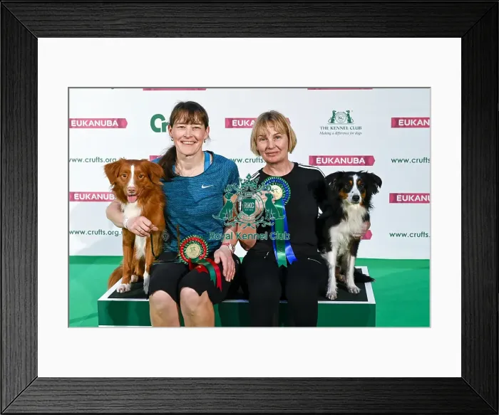 Framed Print : Crufts 2019 - Day Two, NEC, UK - 8 Mar 2019 Framed Print : Crufts 2019 - Day Two, NEC, UK - 8 Mar 2019