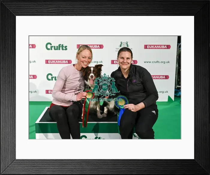 Framed Print : Crufts 2019 - Day Two, NEC, UK - 8 Mar 2019 Framed Print : Crufts 2019 - Day Two, NEC, UK - 8 Mar 2019