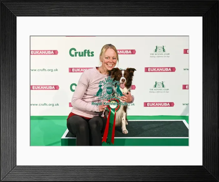 Framed Print : Crufts 2019 - Day Two, NEC, UK - 8 Mar 2019 Framed Print : Crufts 2019 - Day Two, NEC, UK - 8 Mar 2019