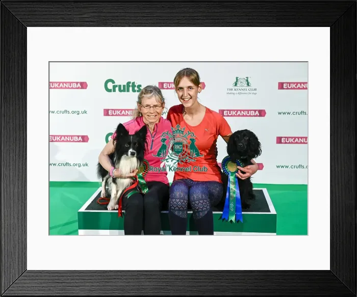 Framed Print : Crufts 2019 - Day Two, NEC, UK - 8 Mar 2019 Framed Print : Crufts 2019 - Day Two, NEC, UK - 8 Mar 2019