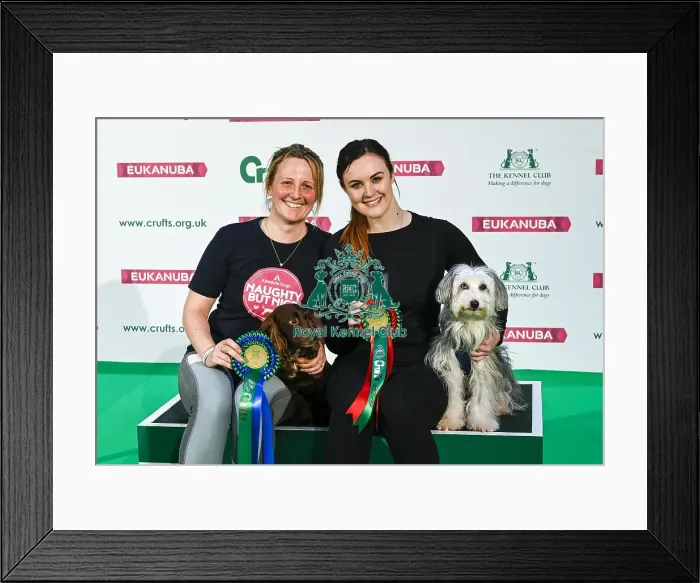 Framed Print : Crufts 2019 - Day Two, NEC, UK - 8 Mar 2019 Framed Print : Crufts 2019 - Day Two, NEC, UK - 8 Mar 2019