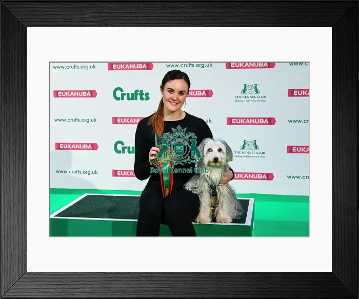 Framed Print : Crufts 2019 - Day Two, NEC, UK - 8 Mar 2019 Framed Print : Crufts 2019 - Day Two, NEC, UK - 8 Mar 2019