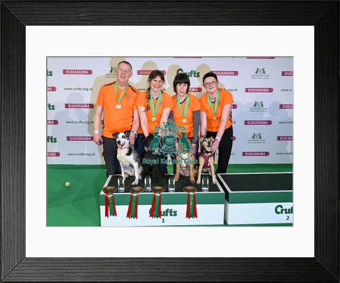 Framed Print : Crufts 2019 - Day Two, NEC, UK - 8 Mar 2019 Framed Print : Crufts 2019 - Day Two, NEC, UK - 8 Mar 2019