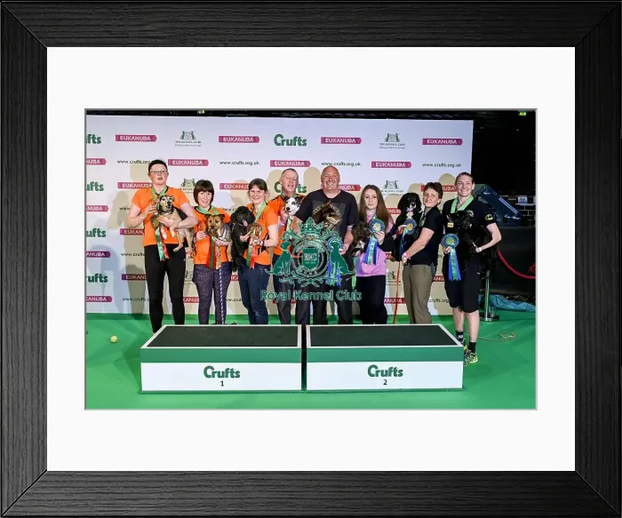 Framed Print : Crufts 2019 - Day Two, NEC, UK - 8 Mar 2019 Framed Print : Crufts 2019 - Day Two, NEC, UK - 8 Mar 2019