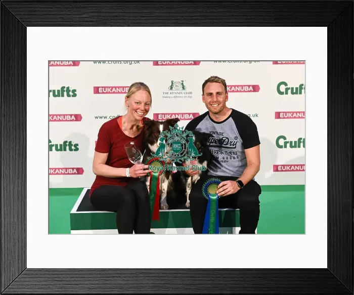 Framed Print : Crufts 2019 - Day Two, NEC, UK - 8 Mar 2019 Framed Print : Crufts 2019 - Day Two, NEC, UK - 8 Mar 2019