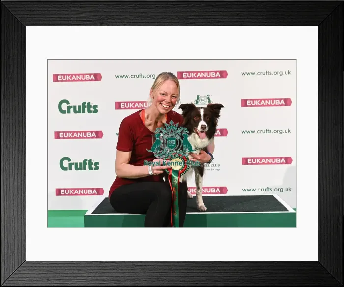 Framed Print : Crufts 2019 - Day Two, NEC, UK - 8 Mar 2019