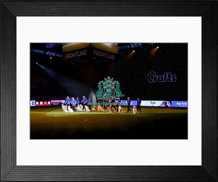 Framed Print : Crufts 2019 - Day Three, NEC, UK - 9 Mar 2019