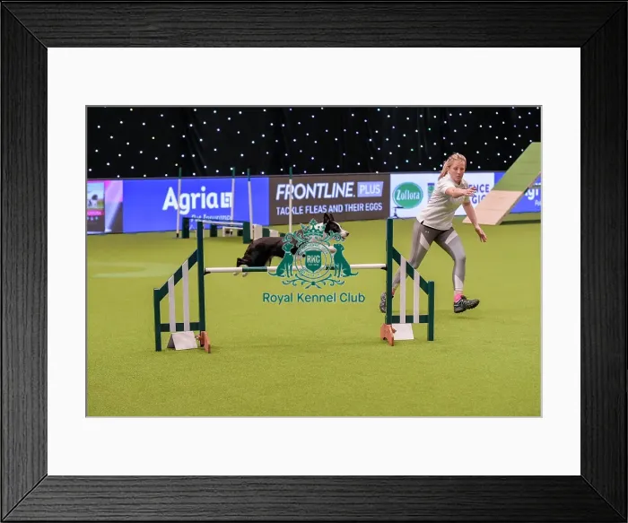 Framed Print : Crufts 2019 - Day One, NEC, UK - 7 Mar 2019 Framed Print : Crufts 2019 - Day One, NEC, UK - 7 Mar 2019