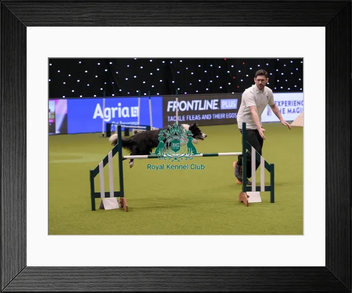 Framed Print : Crufts 2019 - Day One, NEC, UK - 7 Mar 2019