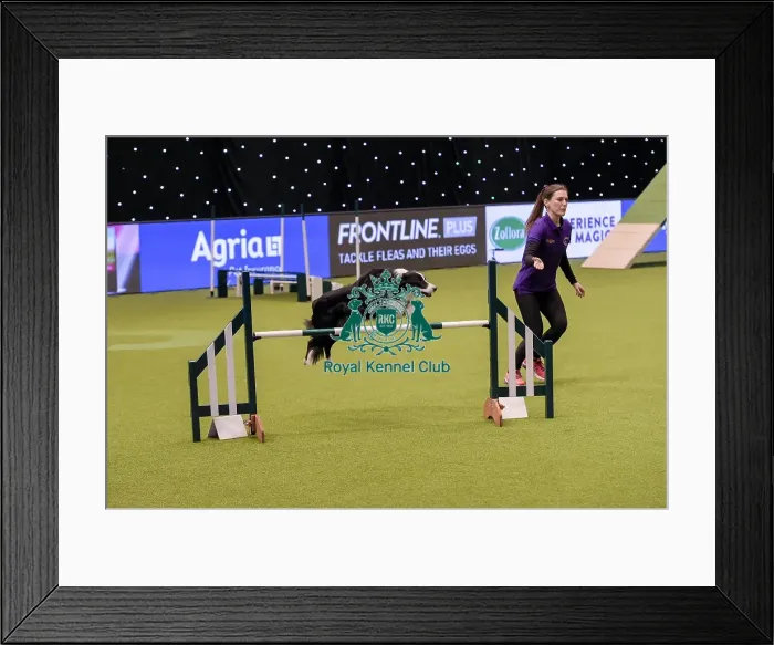 Framed Print : Crufts 2019 - Day One, NEC, UK - 7 Mar 2019 Framed Print : Crufts 2019 - Day One, NEC, UK - 7 Mar 2019