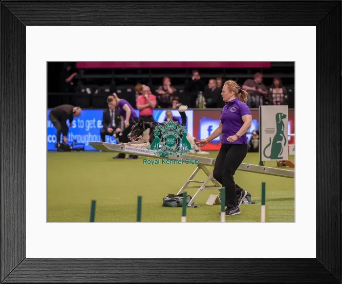 Framed Print : Crufts 2019 - Day One, NEC, UK - 7 Mar 2019 Framed Print : Crufts 2019 - Day One, NEC, UK - 7 Mar 2019