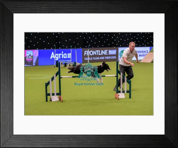Framed Print : Crufts 2019 - Day One, NEC, UK - 7 Mar 2019 Framed Print : Crufts 2019 - Day One, NEC, UK - 7 Mar 2019