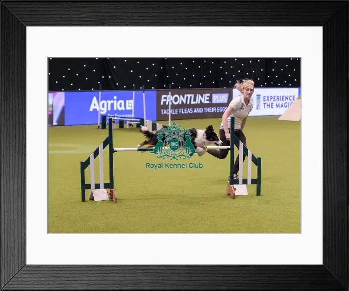 Framed Print : Crufts 2019 - Day One, NEC, UK - 7 Mar 2019