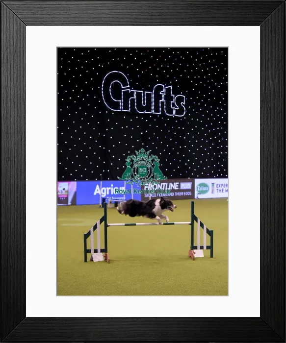Framed Print : Crufts 2019 - Day One, NEC, UK - 7 Mar 2019