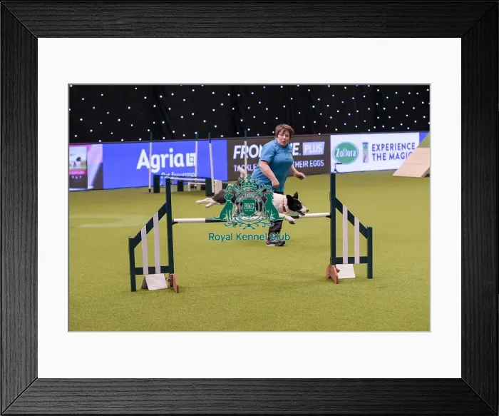 Framed Print : Crufts 2019 - Day One, NEC, UK - 7 Mar 2019 Framed Print : Crufts 2019 - Day One, NEC, UK - 7 Mar 2019