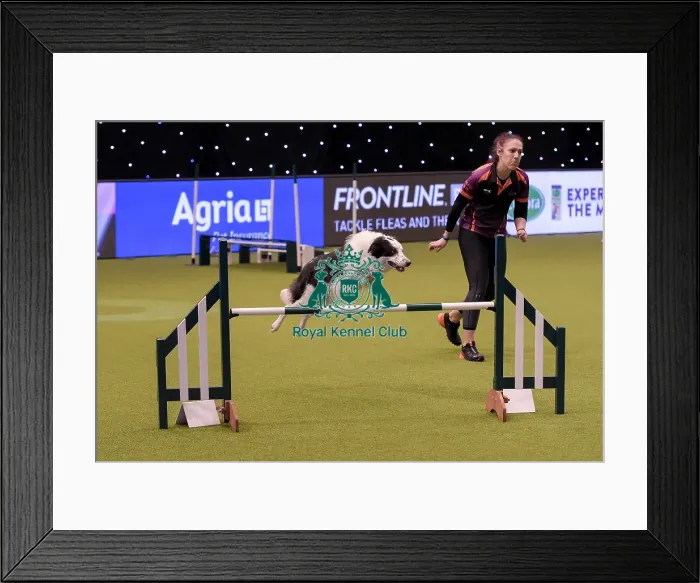Framed Print : Crufts 2019 - Day One, NEC, UK - 7 Mar 2019 Framed Print : Crufts 2019 - Day One, NEC, UK - 7 Mar 2019