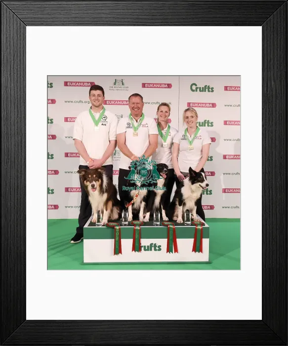 Framed Print : Crufts 2019 - Day One, NEC, UK - 7 Mar 2019 Framed Print : Crufts 2019 - Day One, NEC, UK - 7 Mar 2019