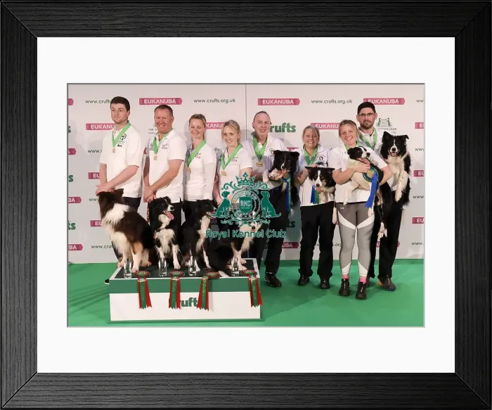 Framed Print : Crufts 2019 - Day One, NEC, UK - 7 Mar 2019 Framed Print : Crufts 2019 - Day One, NEC, UK - 7 Mar 2019
