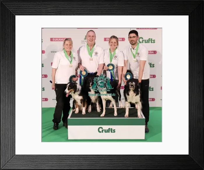 Framed Print : Crufts 2019 - Day One, NEC, UK - 7 Mar 2019 Framed Print : Crufts 2019 - Day One, NEC, UK - 7 Mar 2019