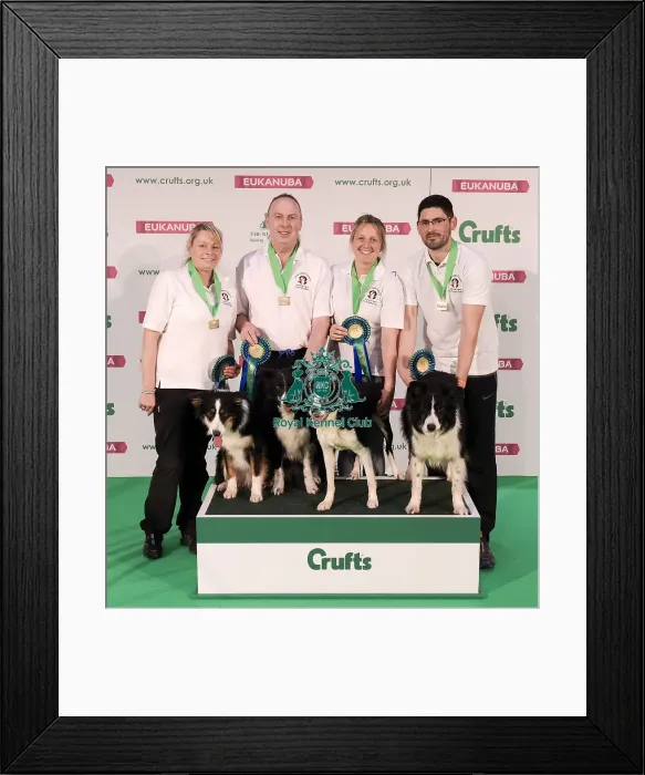Framed Print : Crufts 2019 - Day One, NEC, UK - 7 Mar 2019 Framed Print : Crufts 2019 - Day One, NEC, UK - 7 Mar 2019