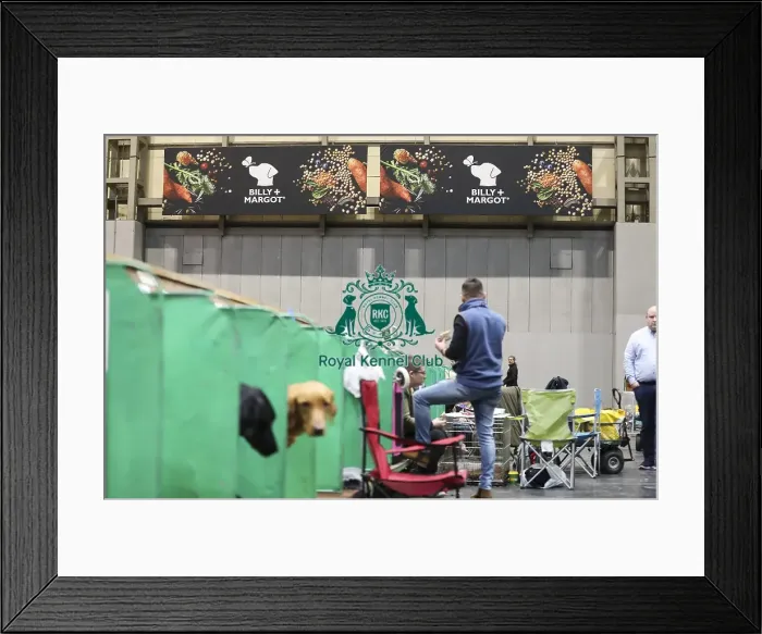 Framed Print : Crufts 2019 - Sponsors Framed Print : Crufts 2019 - Sponsors