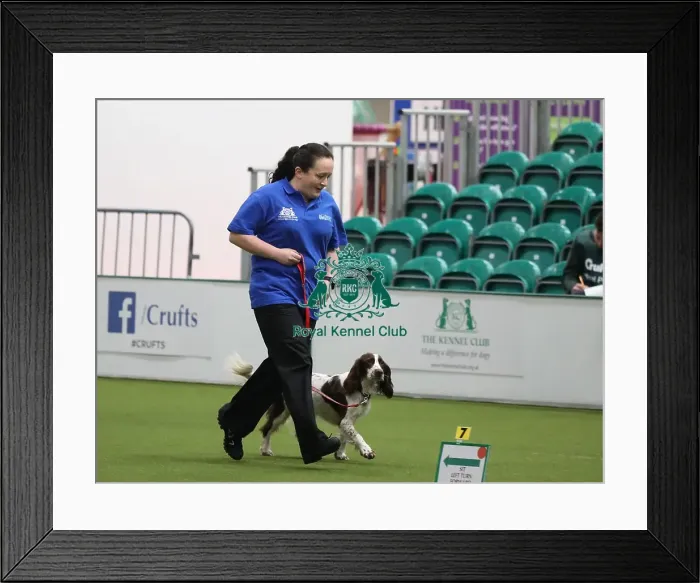Framed Print : Crufts 2019 - Day One, NEC, UK - 7 Mar 2019 Framed Print : Crufts 2019 - Day One, NEC, UK - 7 Mar 2019