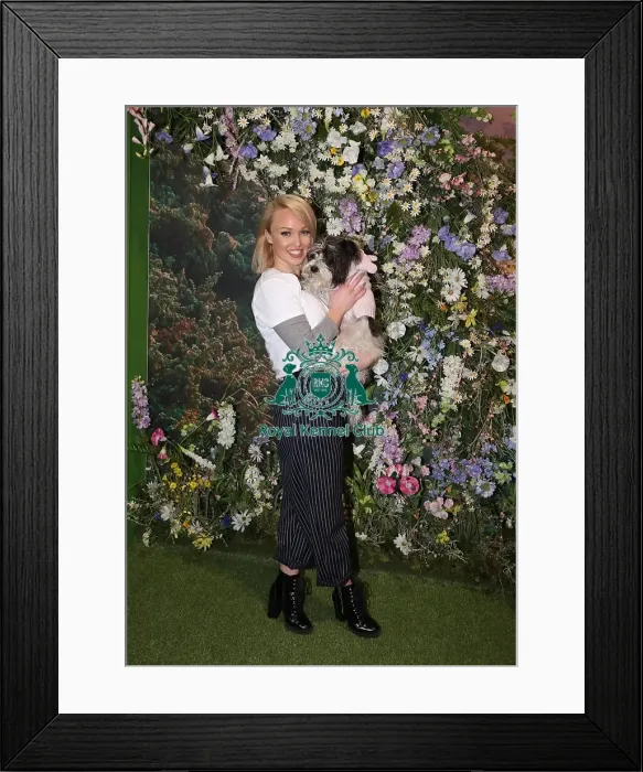 Framed Print : Crufts 2019 - Day One, NEC, UK - 7 Mar 2019 Framed Print : Crufts 2019 - Day One, NEC, UK - 7 Mar 2019