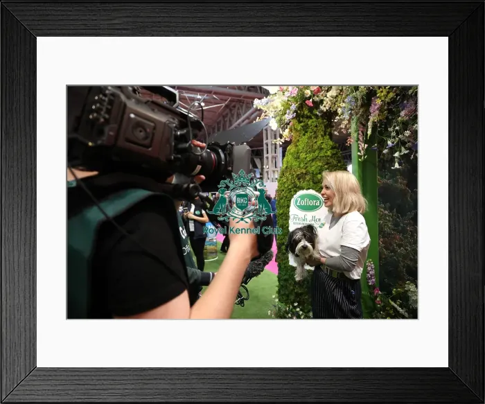 Framed Print : Crufts 2019 - Day One, NEC, UK - 7 Mar 2019 Framed Print : Crufts 2019 - Day One, NEC, UK - 7 Mar 2019