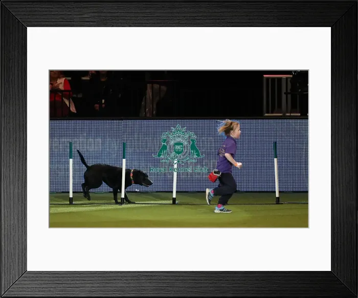 Framed Print : Crufts 2019 - Day One, NEC, UK - 7 Mar 2019 Framed Print : Crufts 2019 - Day One, NEC, UK - 7 Mar 2019