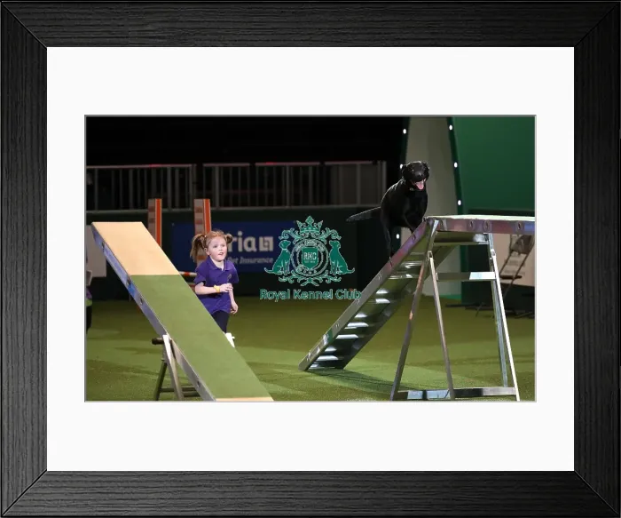 Framed Print : Crufts 2019 - Day One, NEC, UK - 7 Mar 2019 Framed Print : Crufts 2019 - Day One, NEC, UK - 7 Mar 2019