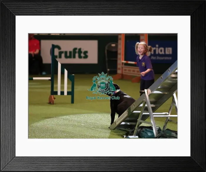 Framed Print : Crufts 2019 - Day One, NEC, UK - 7 Mar 2019 Framed Print : Crufts 2019 - Day One, NEC, UK - 7 Mar 2019
