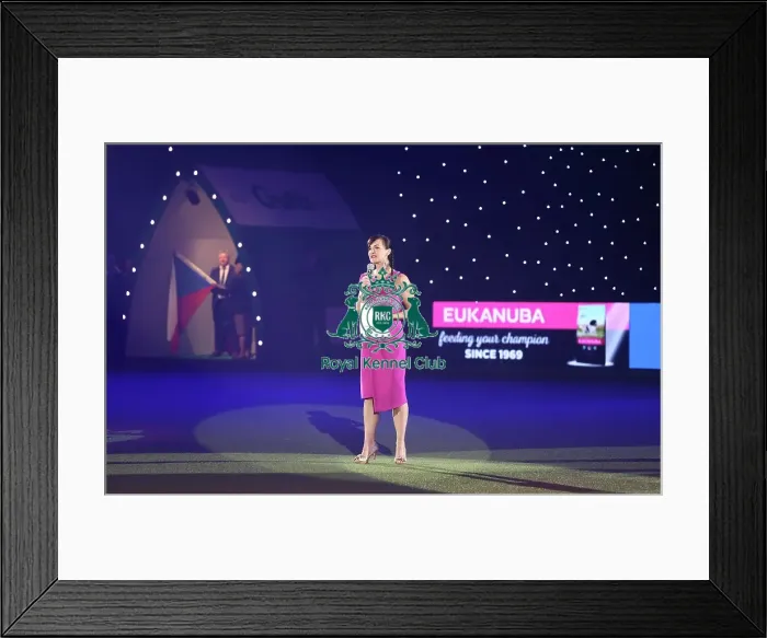 Framed Print : Crufts 2019 - Day One, NEC, UK - 7 Mar 2019 Framed Print : Crufts 2019 - Day One, NEC, UK - 7 Mar 2019