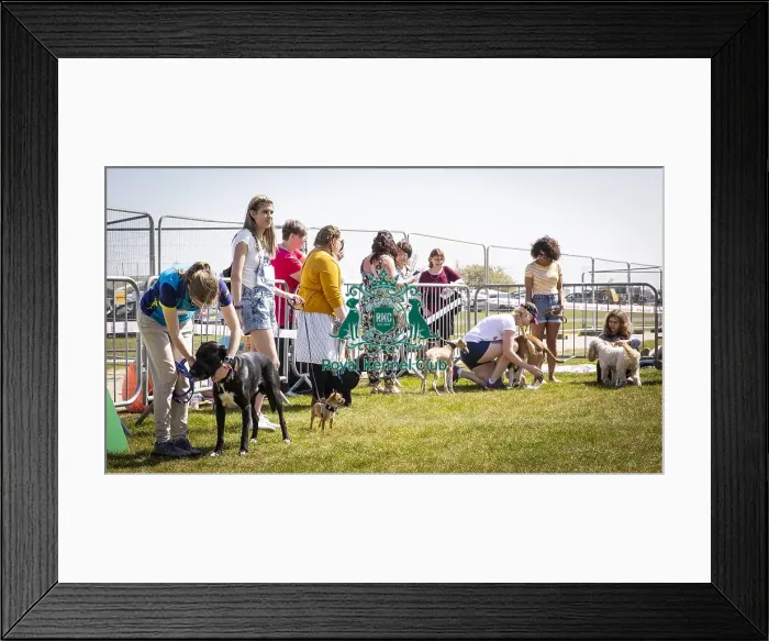 Framed Print : Scruffts Newark 2019 Framed Print : Scruffts Newark 2019