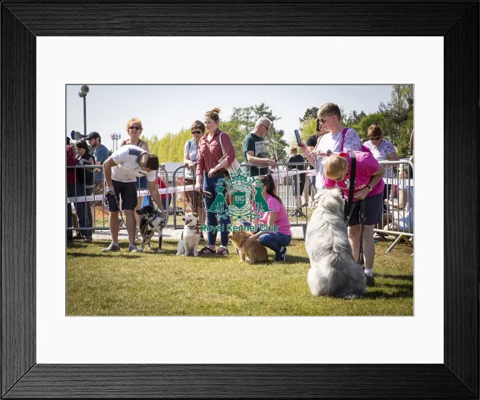 Framed Print : Scruffts Newark 2019 Framed Print : Scruffts Newark 2019