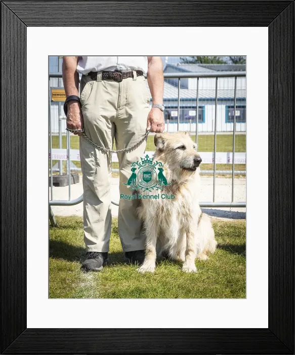 Framed Print : Scruffts Newark 2019