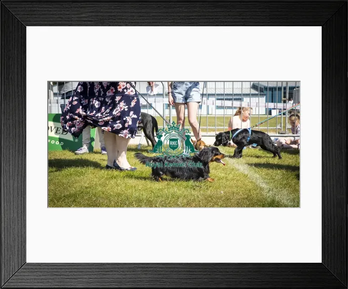 Framed Print : Scruffts Newark 2019 Framed Print : Scruffts Newark 2019