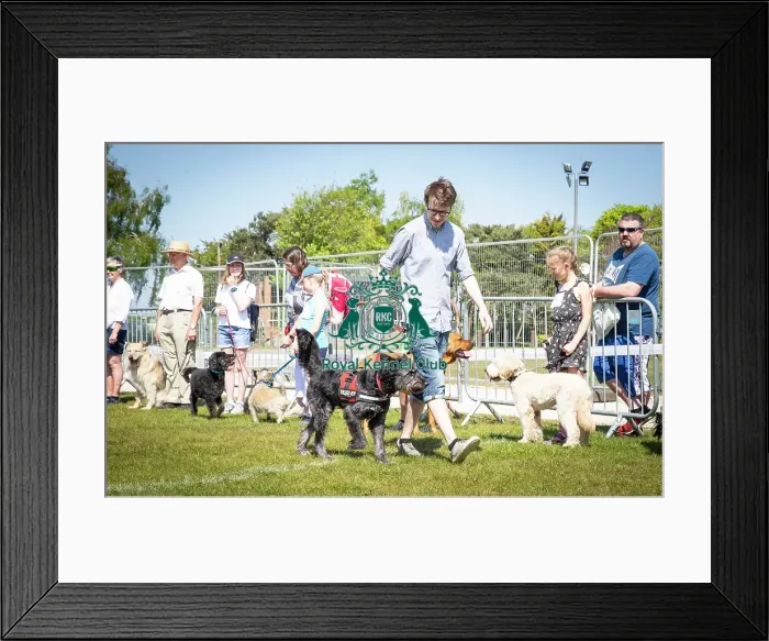 Framed Print : Scruffts Newark 2019 Framed Print : Scruffts Newark 2019