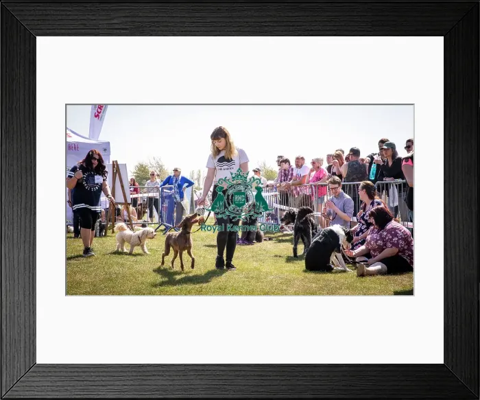 Framed Print : Scruffts Newark 2019 Framed Print : Scruffts Newark 2019