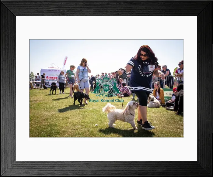 Framed Print : Scruffts Newark 2019 Framed Print : Scruffts Newark 2019