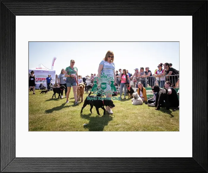Framed Print : Scruffts Newark 2019 Framed Print : Scruffts Newark 2019