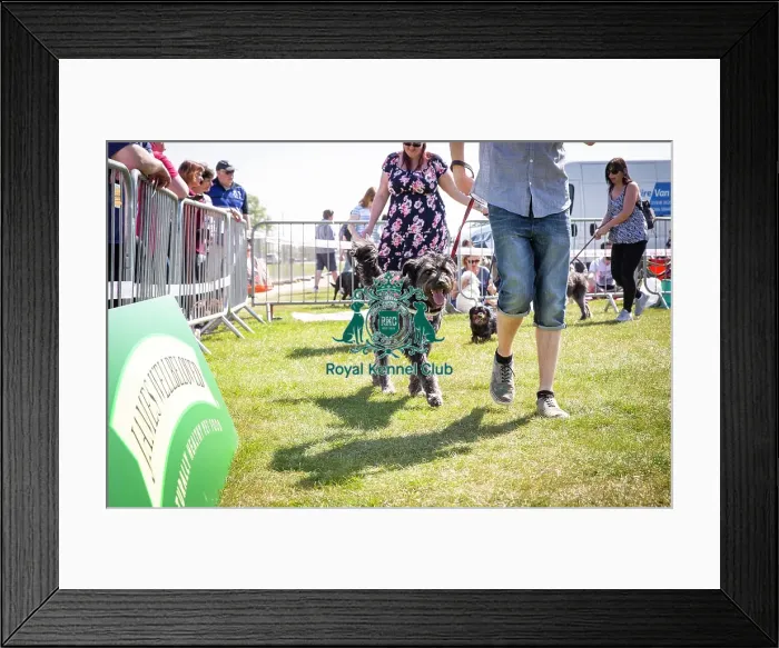 Framed Print : Scruffts Newark 2019 Framed Print : Scruffts Newark 2019