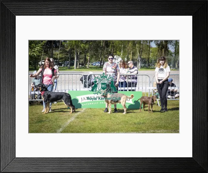 Framed Print : Scruffts Newark 2019