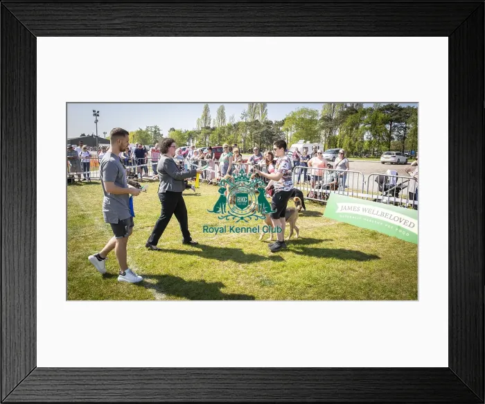 Framed Print : Scruffts Newark 2019