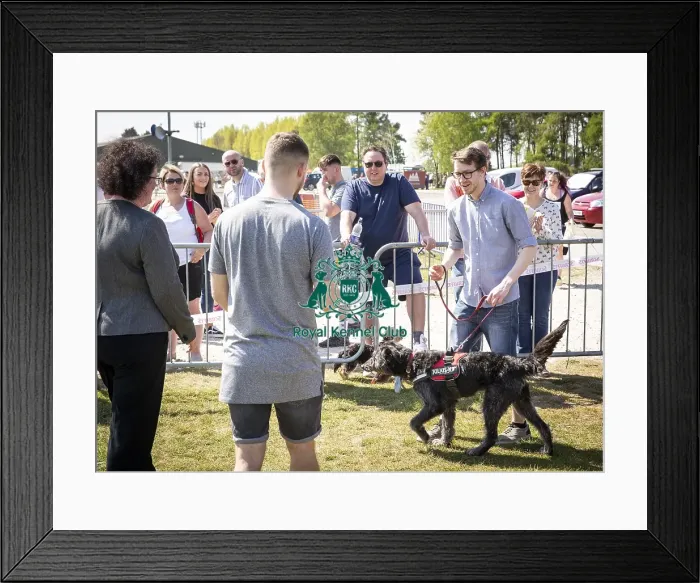 Framed Print : Scruffts Newark 2019 Framed Print : Scruffts Newark 2019