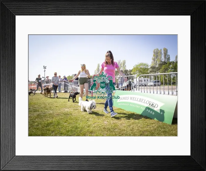 Framed Print : Scruffts Newark 2019 Framed Print : Scruffts Newark 2019