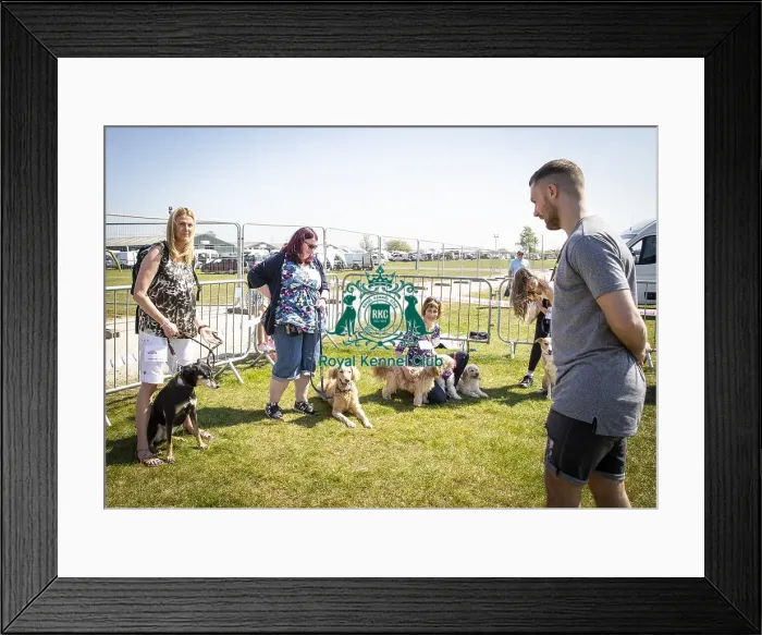 Framed Print : Scruffts Newark 2019 Framed Print : Scruffts Newark 2019