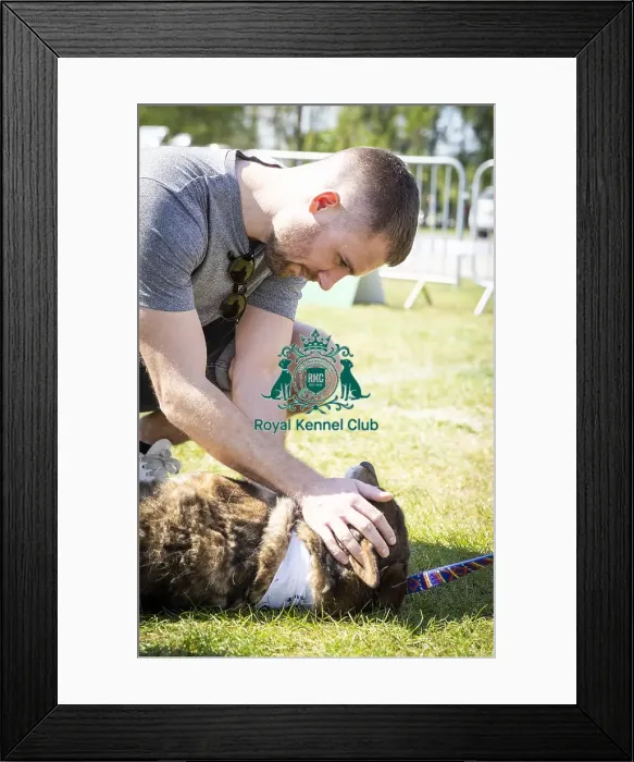 Framed Print : Scruffts Newark 2019 Framed Print : Scruffts Newark 2019