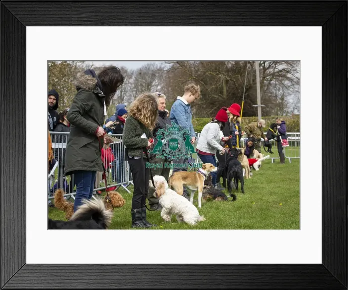 Framed Print : Scruffts Newbury 2019 Framed Print : Scruffts Newbury 2019